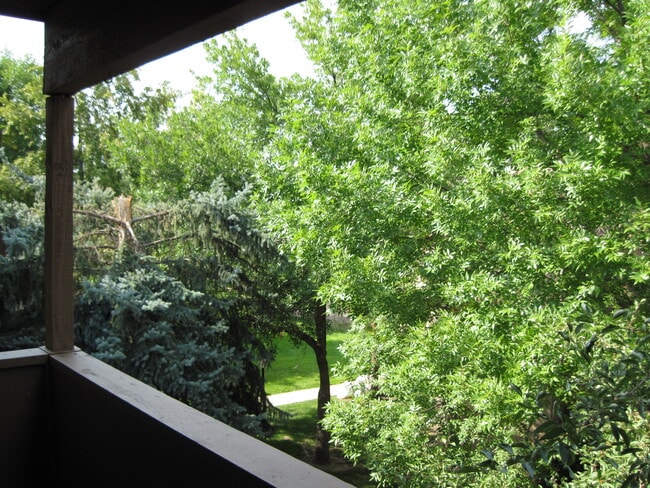 Photo - 3515 28th St