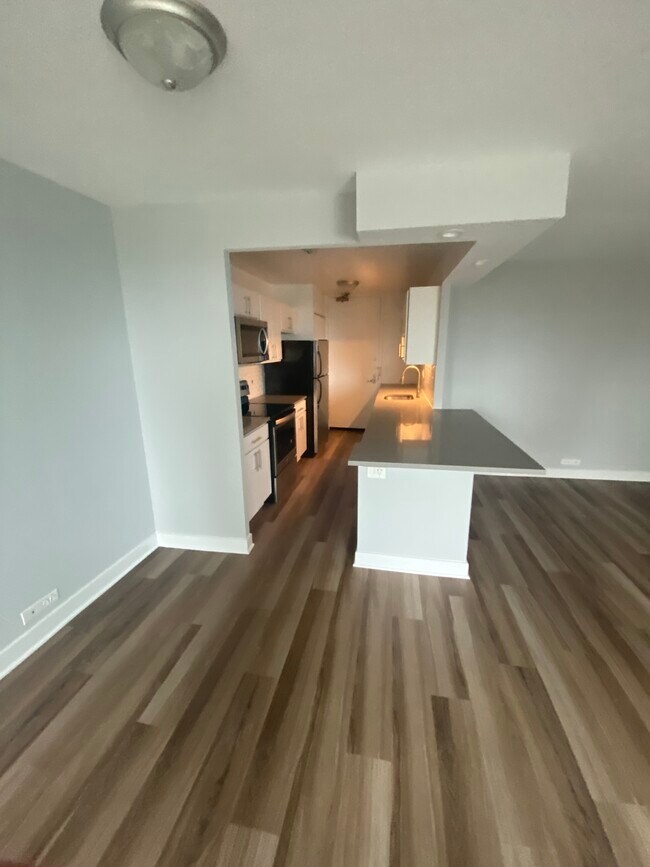 1160 S Michigan Ave Unit 3601