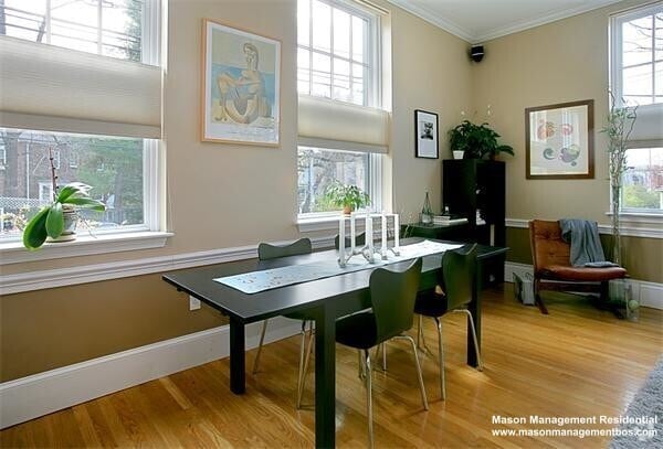 Building Photo - 245 Beacon St Unit 4 Rental
