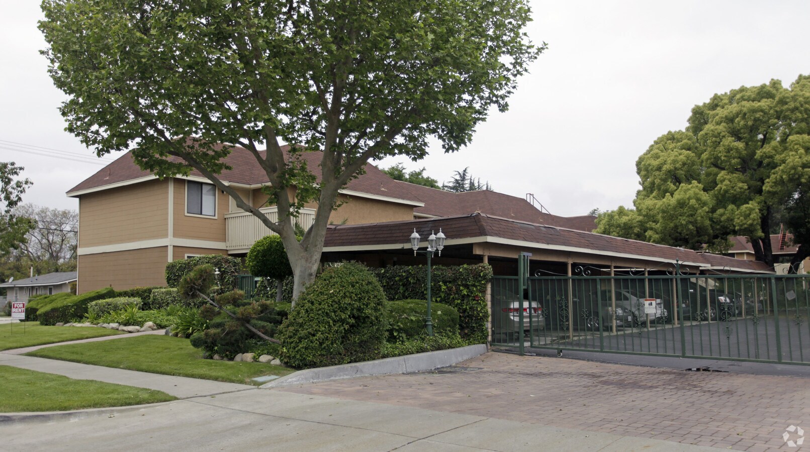 Photo - English Oaks