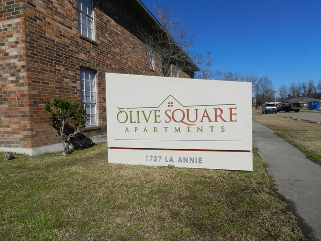 Olive Square Apartments - Olive Square Apartments