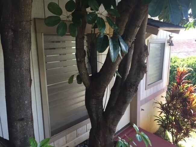 Kaimuki Studio! - Kaimuki Studio! House