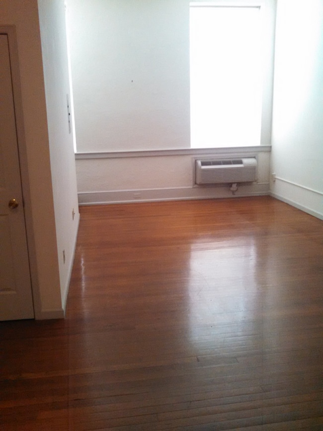 Loft 101 Living Area & Hardwwod Floor - 221 E Mifflin St Unit 101