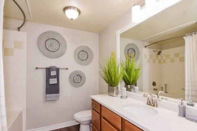 Photo - 1 bedroom in Round Rock TX 78664 Unit 1018