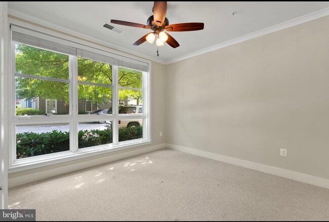 Large bedroom with ceiling fan - 815 N Patrick St Unit 108