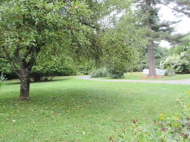 Photo - 38 Berkley, B