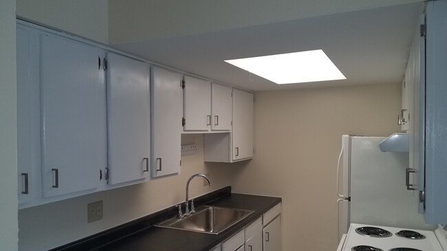 Photo - SPRINGBANK APARTMENTS