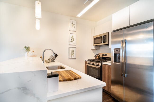 22 Sussex St - Best Location Downtown