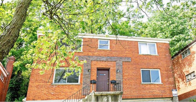 Photo - 2203 Westwood Northern Blvd Apartment