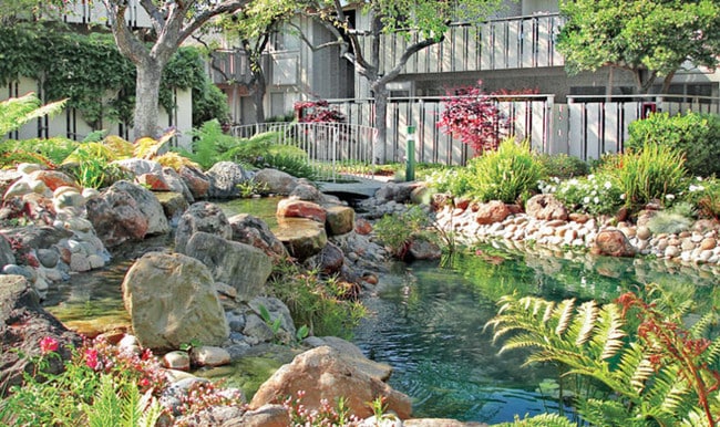 Stream and Waterfalls