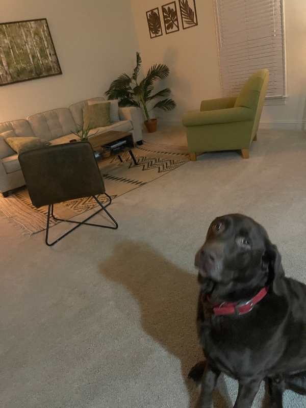 Photo - 1015 Heathercroft Cir Unidad 200