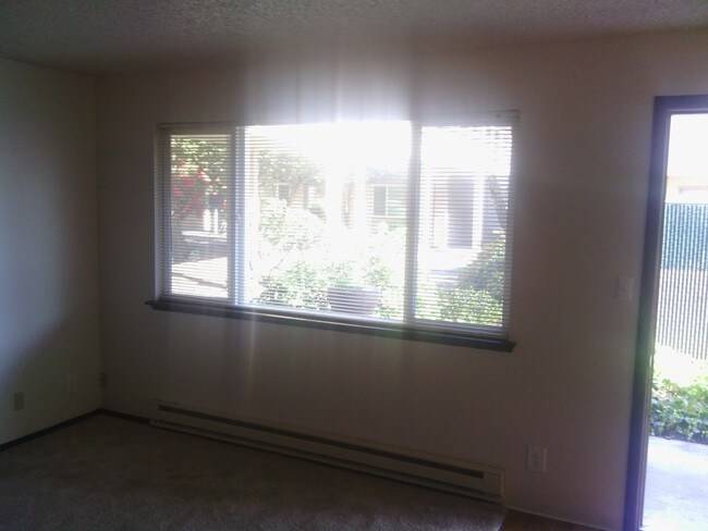 Photo - Firs Apartments