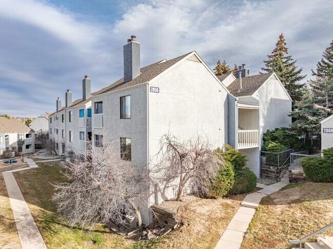 Cottonwood Terrace - Cottonwood Terrace