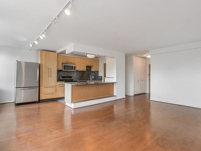 Photo - 1455 N Sandburg Terrace Unit 1904