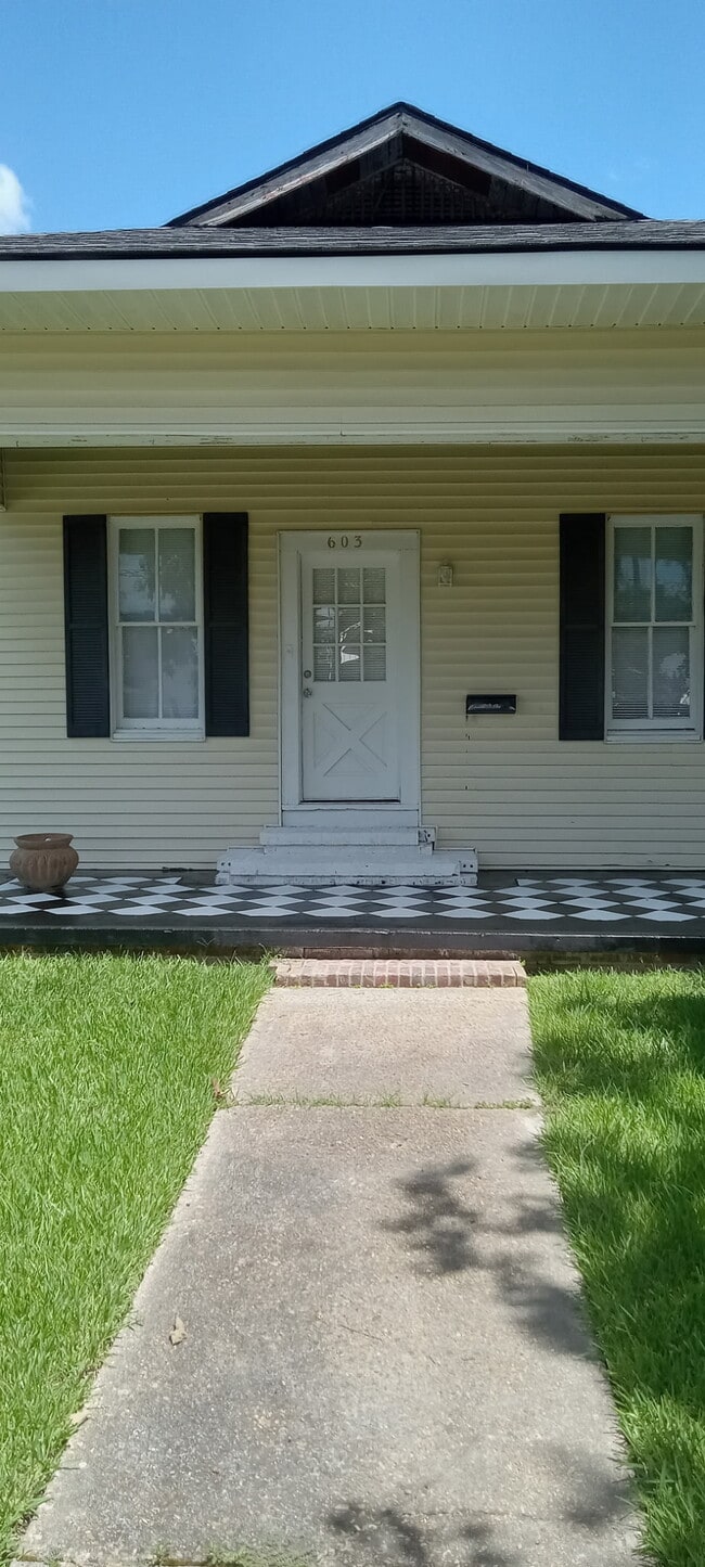 Front facing Thomas St. - 603 E Thomas St