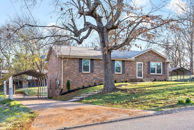Photo - 3 Bedroom Home for Rent in St. B!