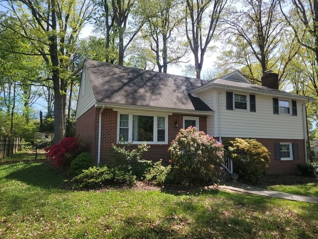 Photo - Delightful 3 Bedroom Home for Rent in Henrico