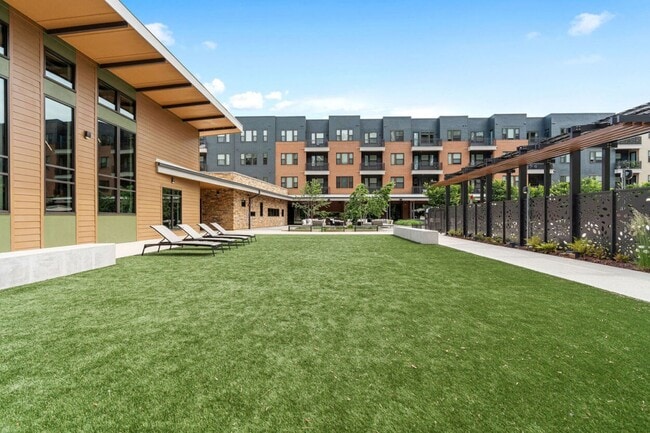 Photo - Lerner Black Hill