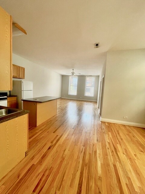 1459 N Milwaukee Ave Unit 2A