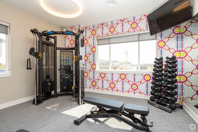 Gimnasio abierto las 24 horas - Vestara 72