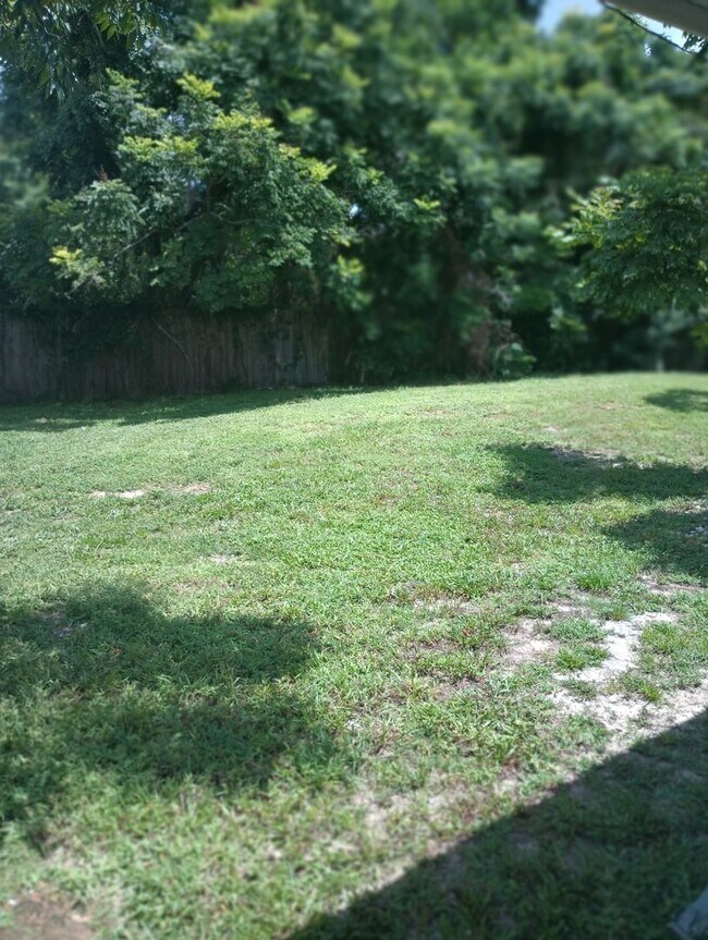 Photo - Hiawassee/Orlando Casa