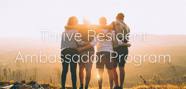 Photo - Palm Court Apartments