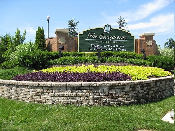 Evergreens at Smith Run