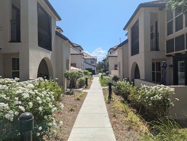 Photo - 28629 N Pietro Dr
