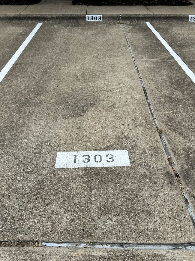 Photo - 1000 Spring Loop