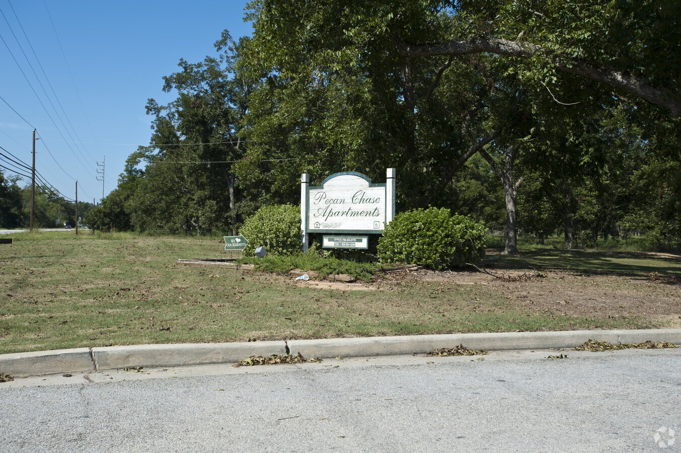 Photo - Pecan Chase