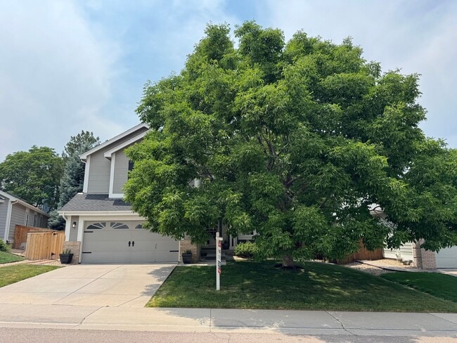 Photo - Available for Rent in Lone Tree's Desirable Carriage Club Neighborhood!