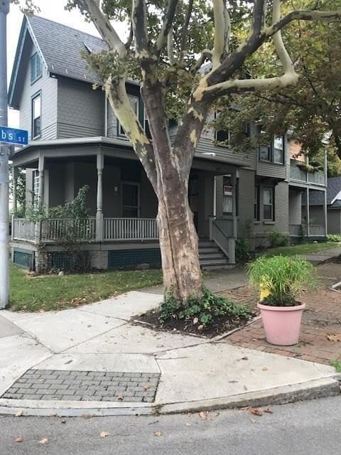 Photo - 172 Gibbs St Apartment