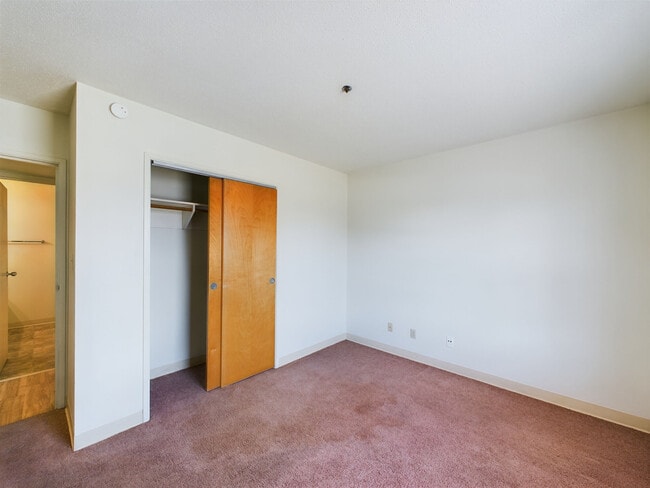 Photo - Chesterfield Apartments