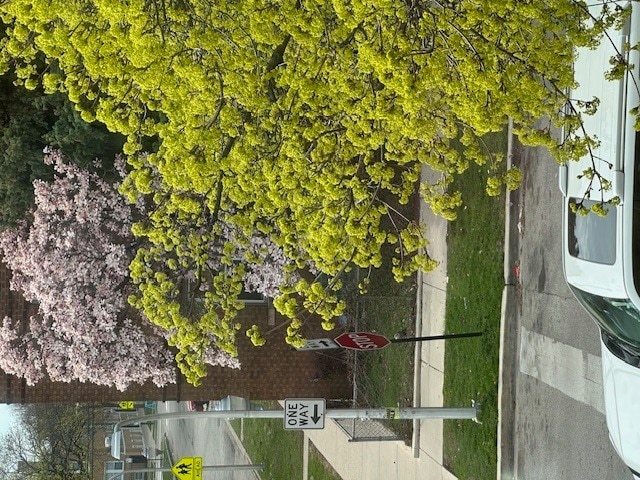 Photo - 4058 W Dickens Ave Unit 2D