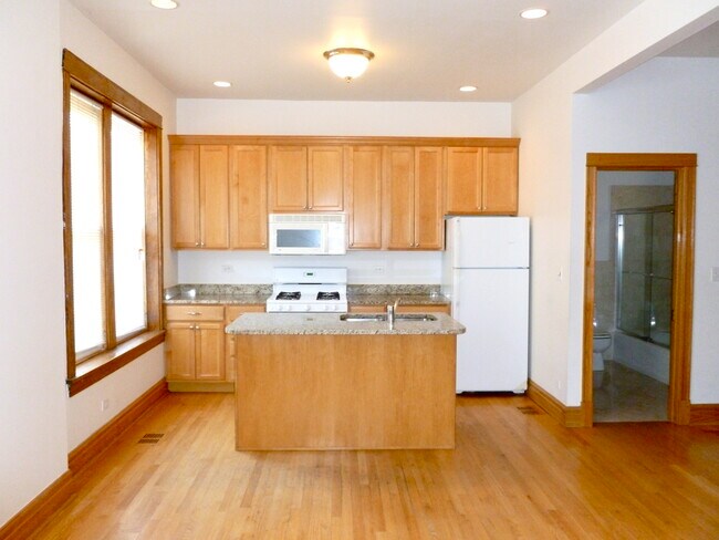 1500 W Polk Apt 1M - Kitchen/Living Room - Harris Point Chicago