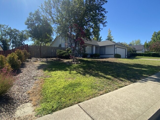 586 Springer Dr