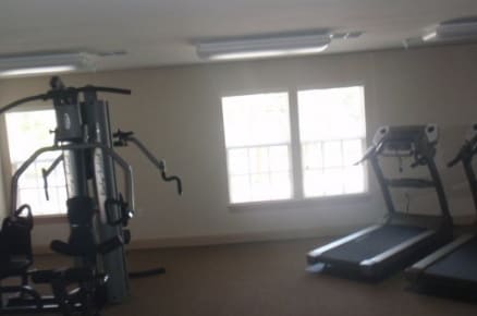 Photo - Madison Vines