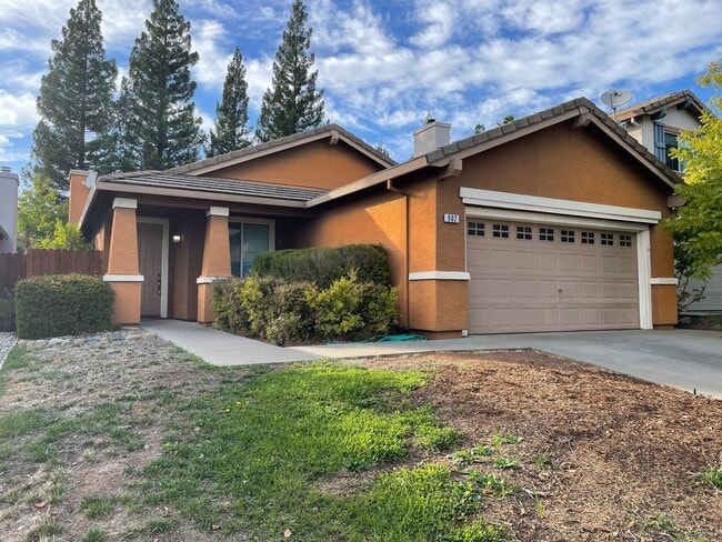 Building Photo - Beautiful Single-Story 4BR/2BA Home – Quie...
