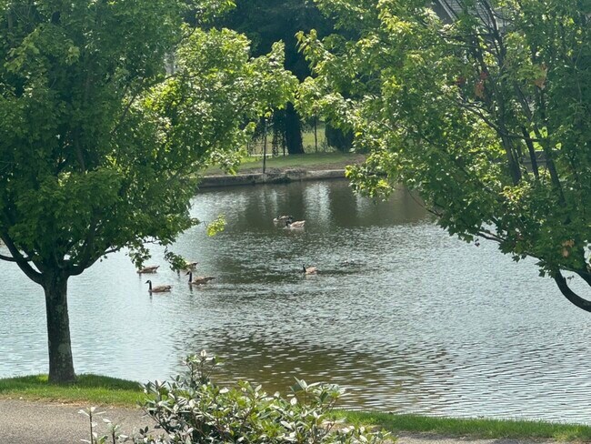 Photo - 3 Forest Lake Dr