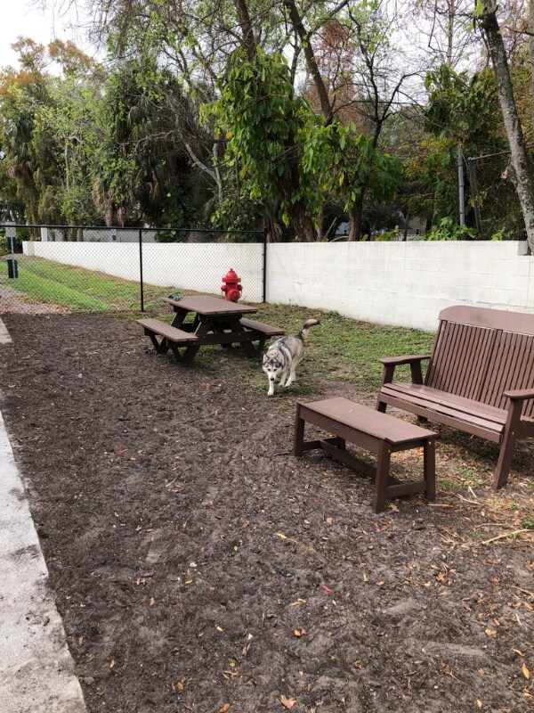 Photo - 115 S Lois Ave Unit 204