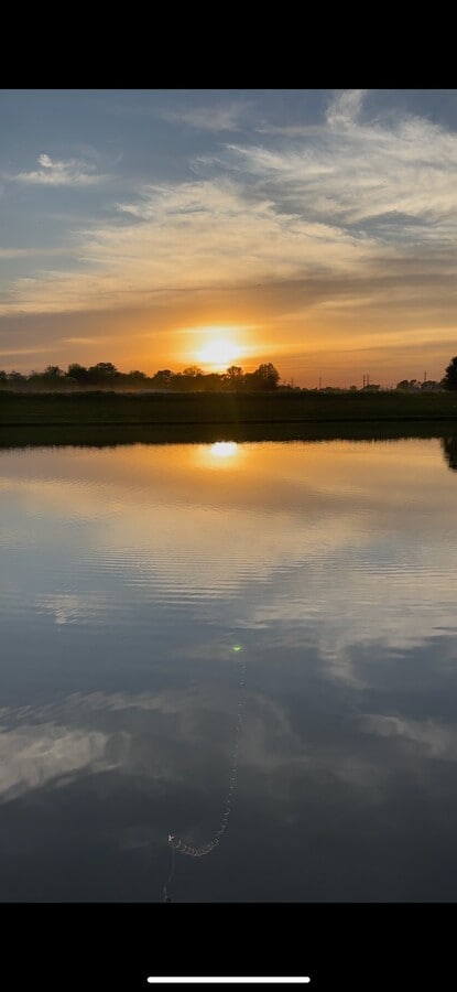 Photo - 4150 Viva Ln