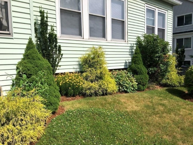 Photo - 6 Almont Ave Unit 3