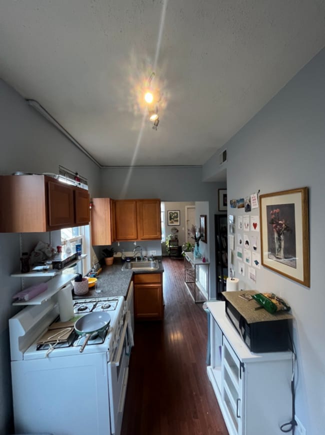 Photo - Wicker Park 1bd/1bth W/ Deck Avail 7/1 Unit 2R