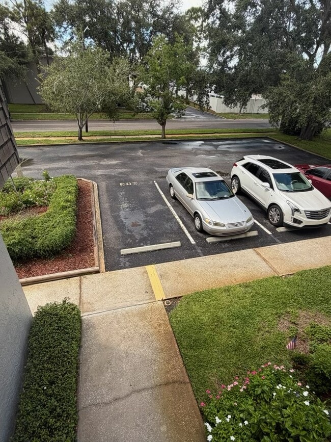 Assigned Parking Space - 3147 29th Ave N Unit 203