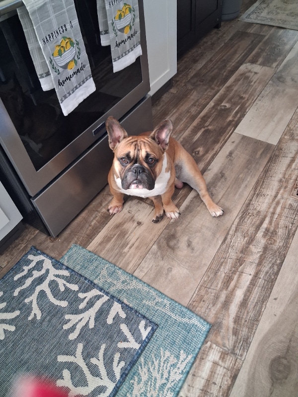 Photo - 936 Pineclair Dr SW