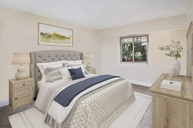 Photo - North Forest