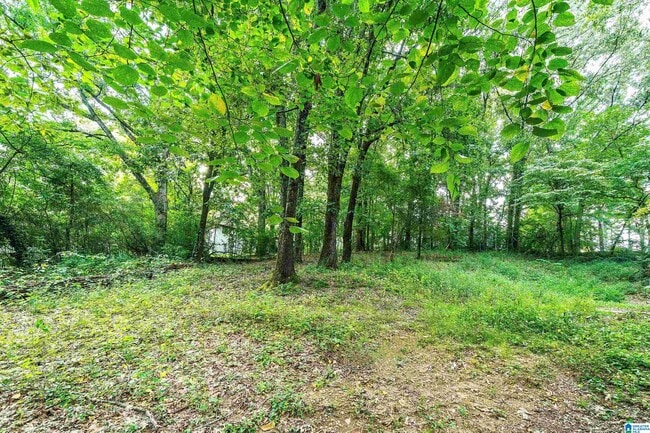 Photo - 2415 Ormond Dr