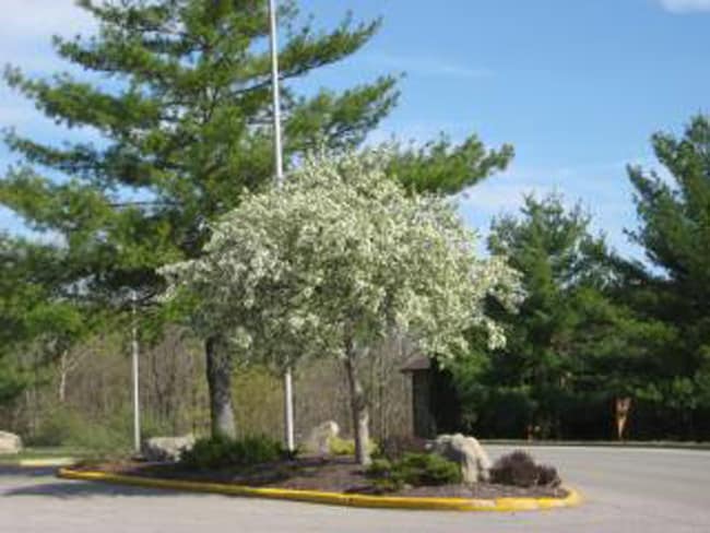 Photo - Summit Pointe