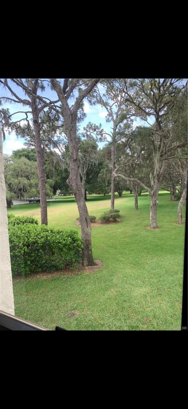 View from Florida room and master - 115 E Hartford St