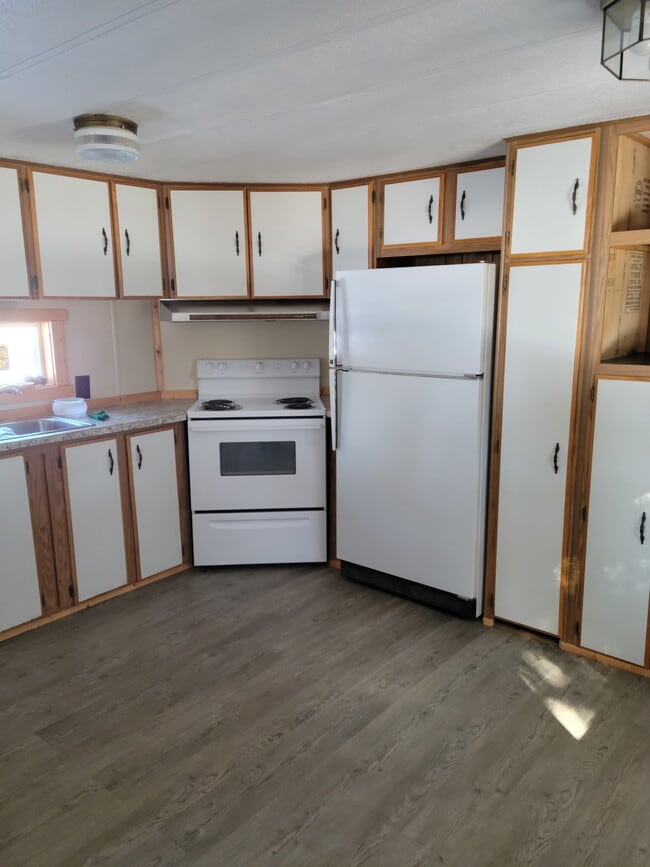 kitchen- new fridge